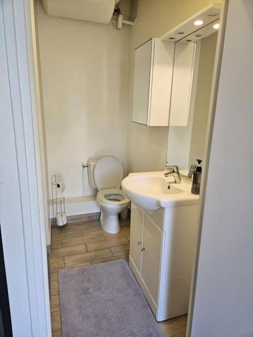 Beautiful F2 Apartment 5 Stops By Train From Paris Moret-sur-Loing Eksteriør billede
