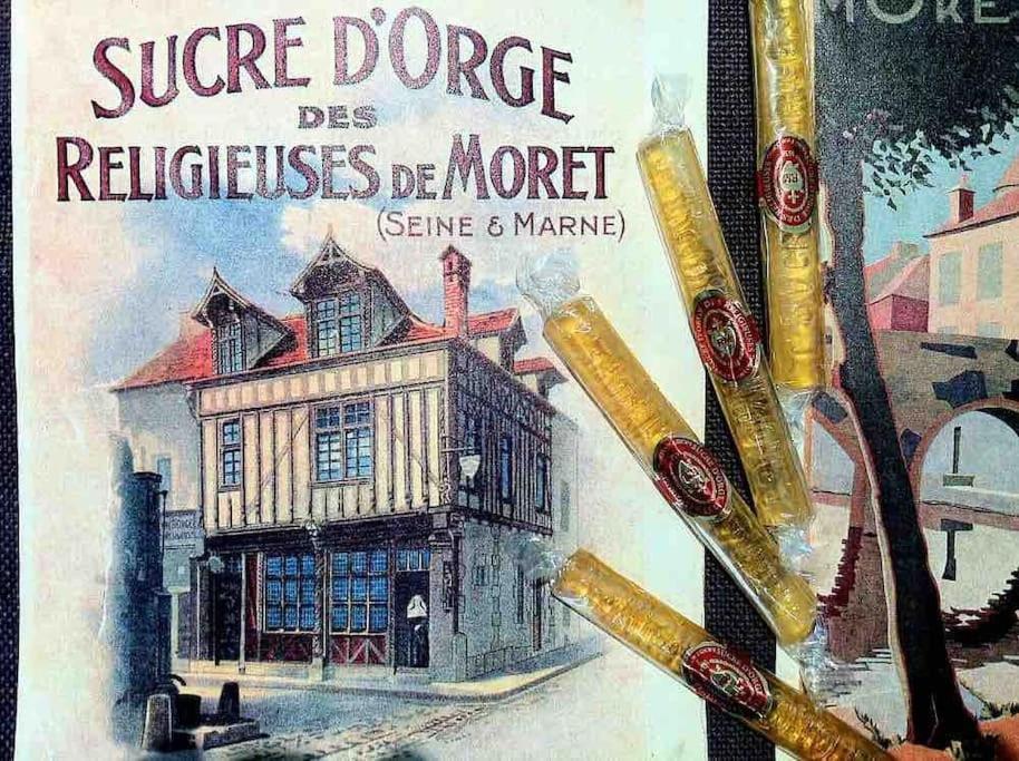 Beautiful F2 Apartment 5 Stops By Train From Paris Moret-sur-Loing Eksteriør billede